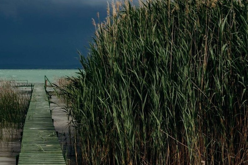 Csak az elmúlt napokban kilenc embert kellett kimenteni a Balatonból