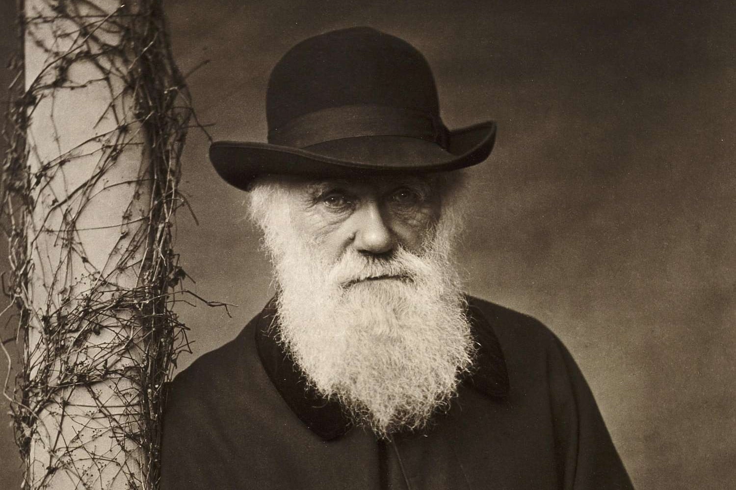 Rekonstruálták Charles Darwin könyvtárát