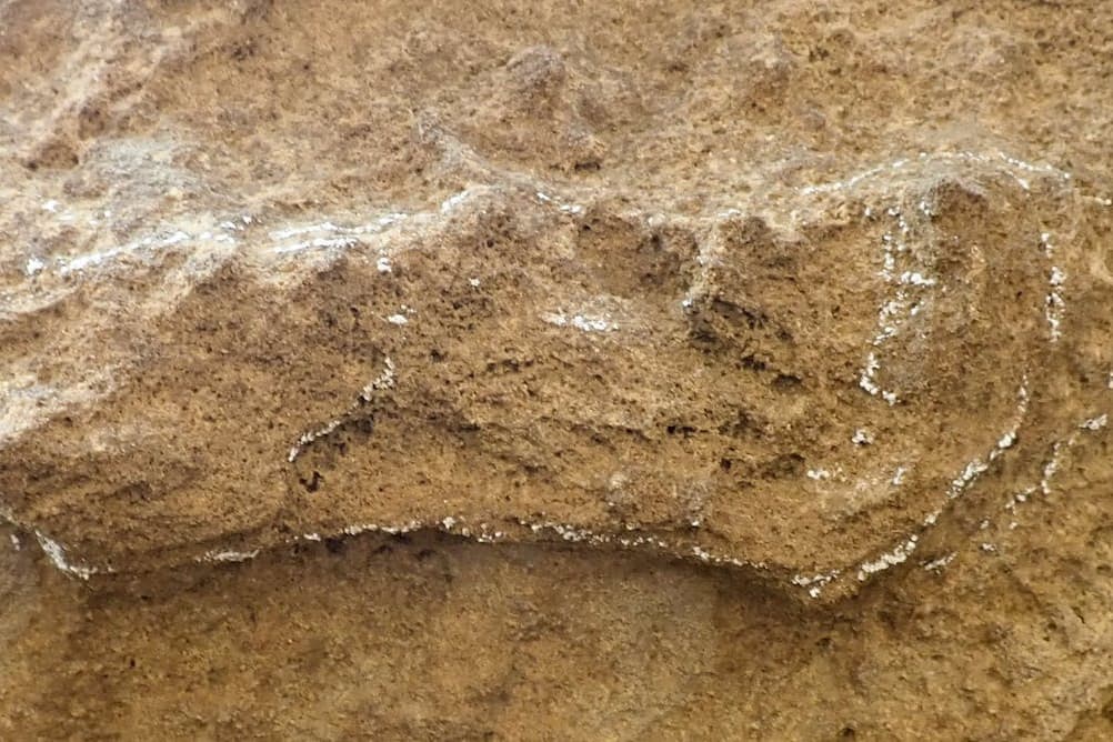 A világ legrégebbi Homo Sapiens lábnyomát azonosították Dél-Afrikában
