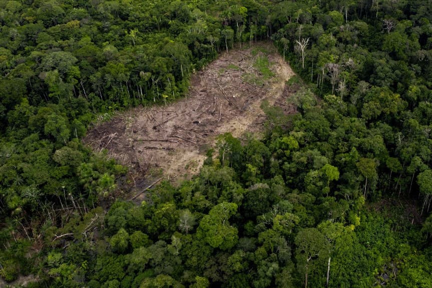 Új tervet hirdetett az amazóniai illegális erdőirtások felszámolására a brazil elnök