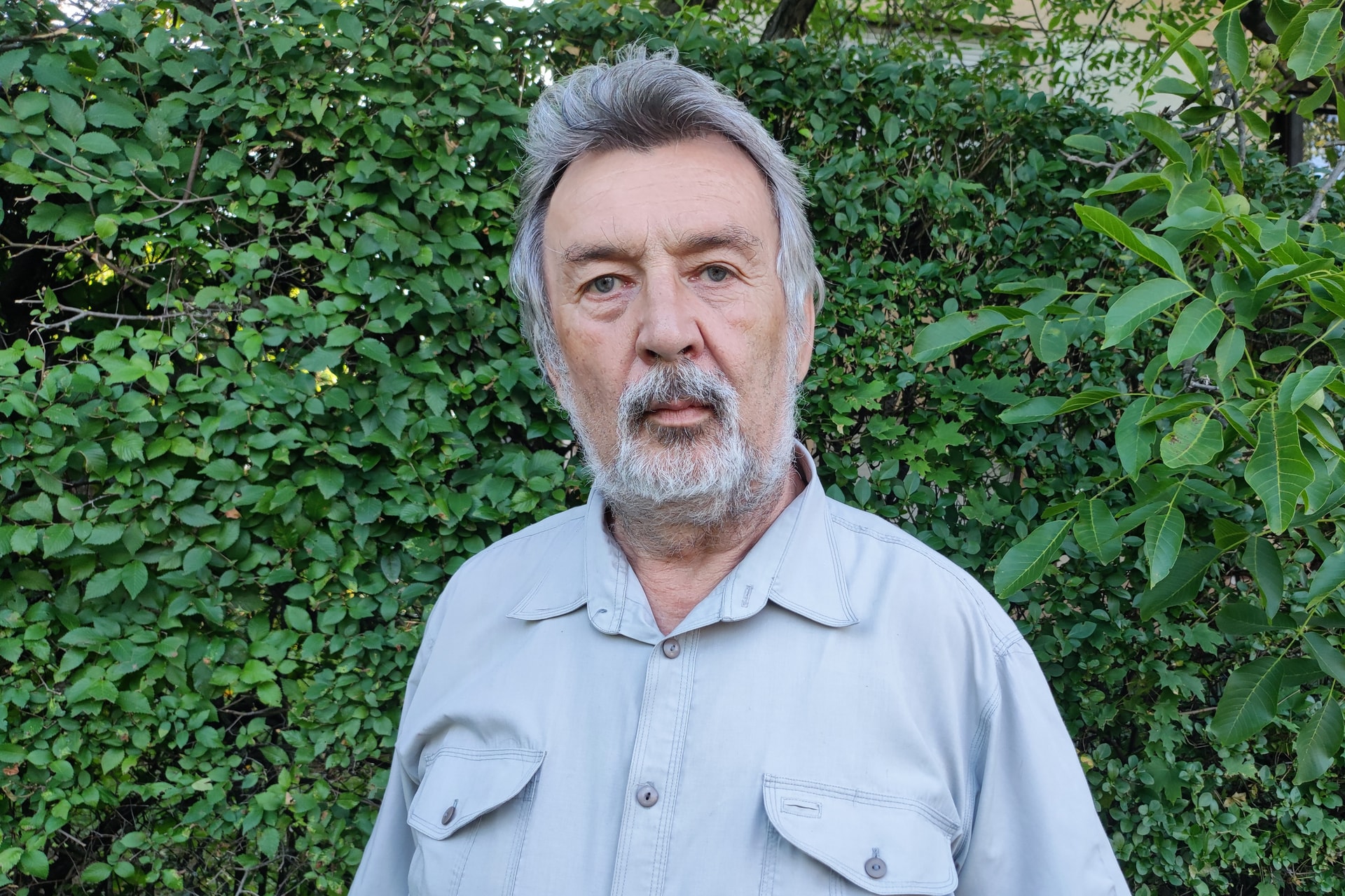 A piros szegfű elhervadása alulnézetből