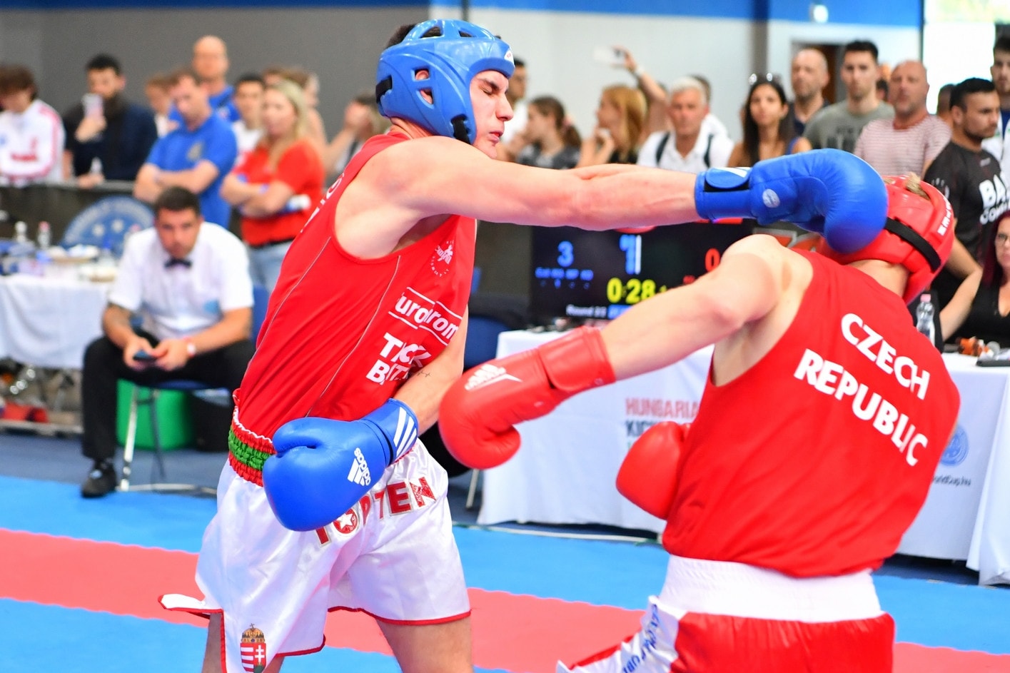 Kick-box vk: Magyarország zárt az éremtábla élén