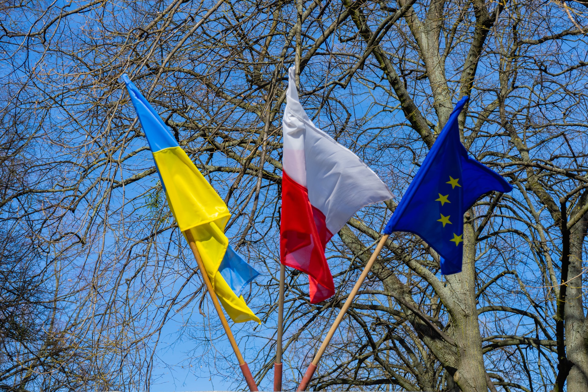 Ha Amerika Ukrajna támogatására szólítja fel az európai országokat, számos állam ennek megfelelően fog eljárni