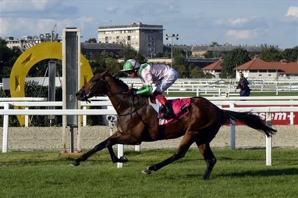 Frankie Dettori meghódította a Kincsem Parkot is