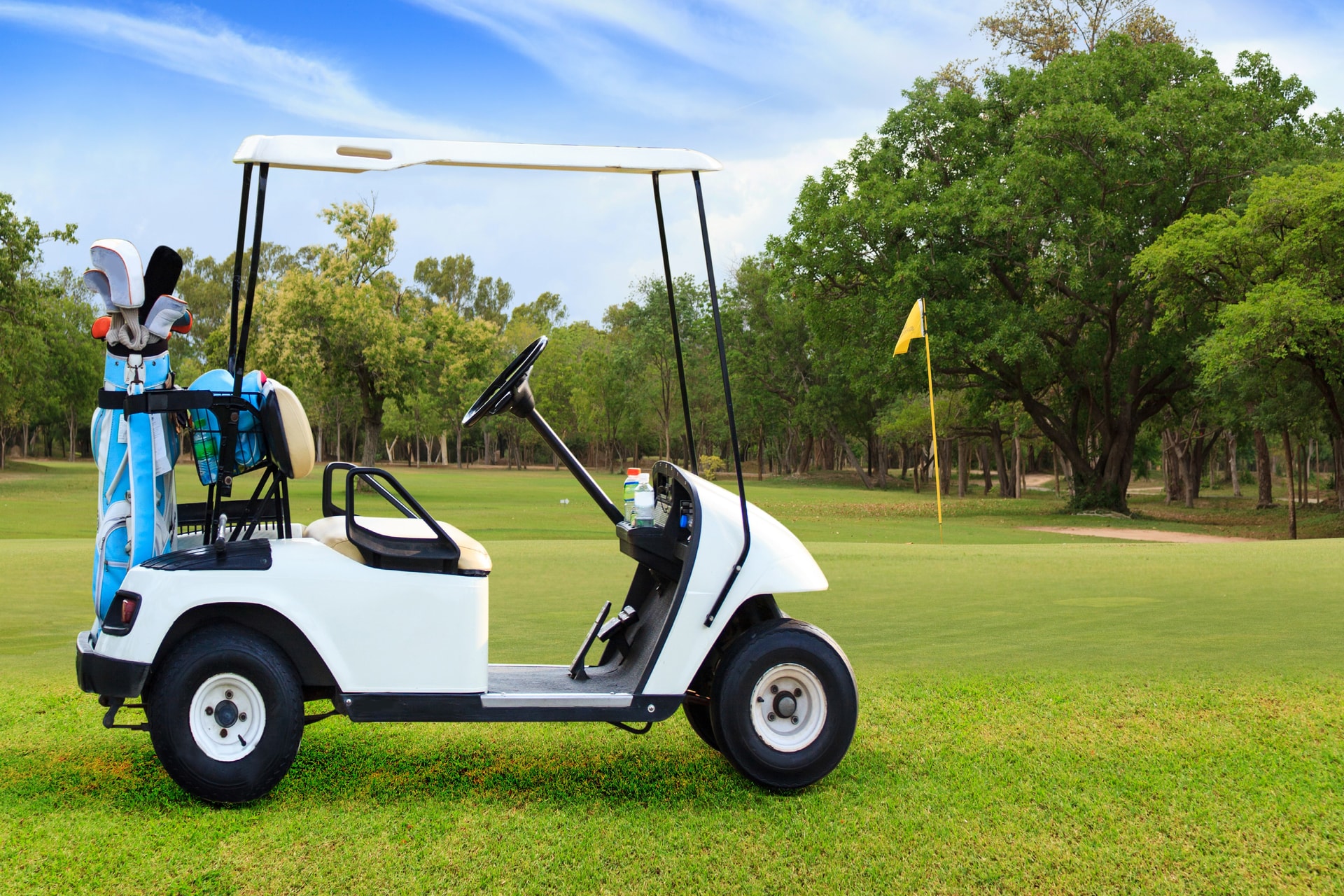 Félmeztelenül, ölében kutyával menekült egy golfkocsival a rendőrök elől egy kaliforniai férfi