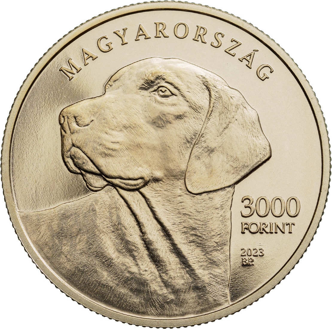 Emlékérme örökíti meg az erdélyi kopót