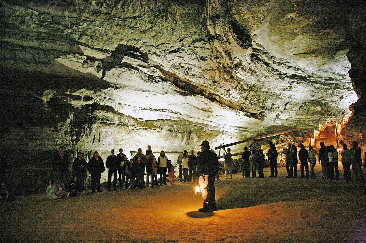 Félelmetes ragadozókra bukkantak