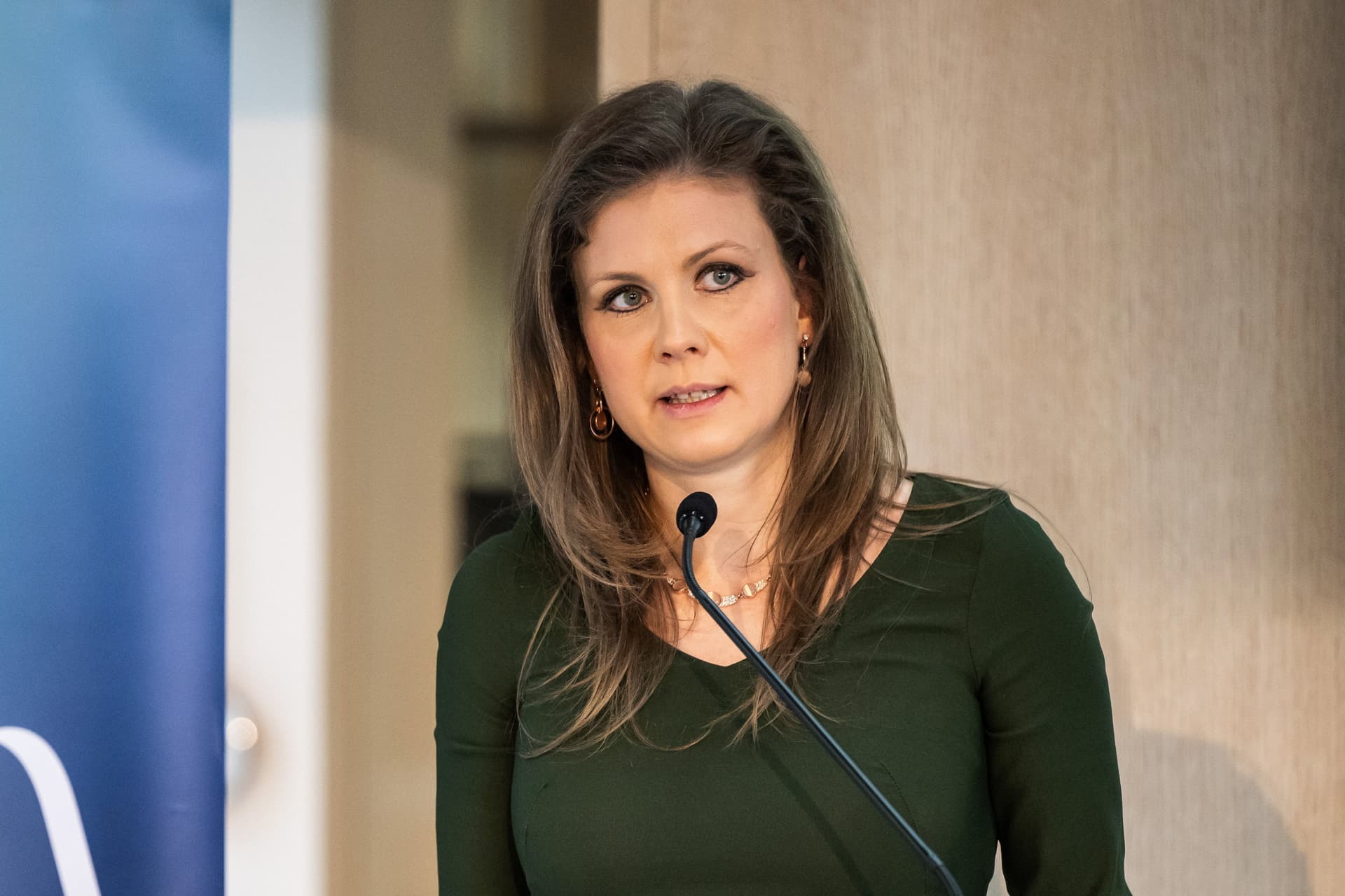 Raisz Anikó: A zöldátállás nem lehet sikeres zöldinnováció nélkül