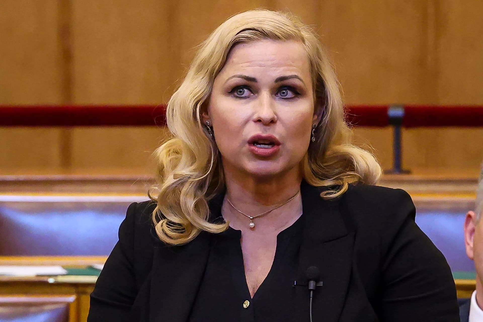 A KDNP a béke pártján áll