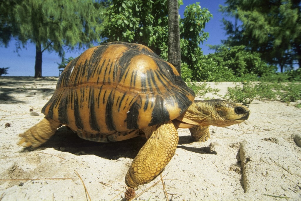 Meg kell őrizni a biodiverzitást