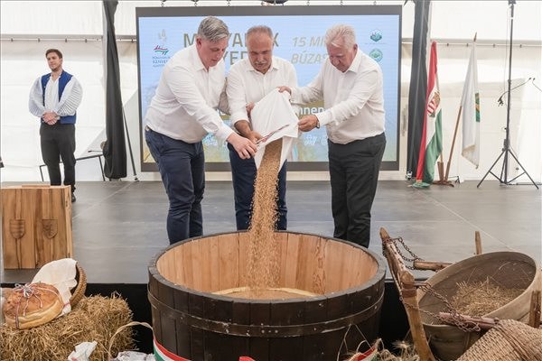 A magyarok kenyere idén is biztosított