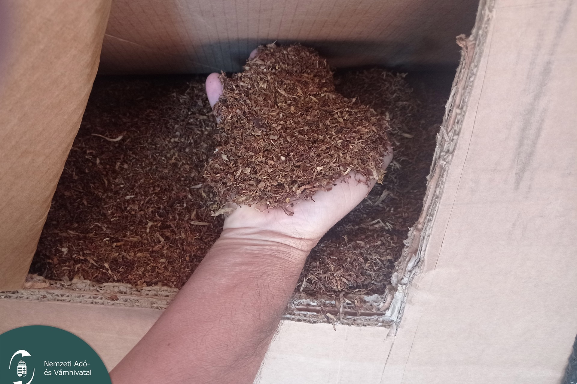 Hihetetlen, mi derült ki egy nyírségi családi házról