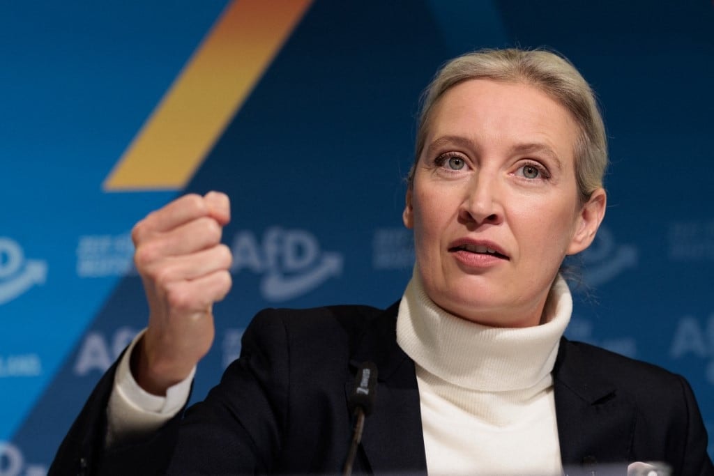 Az AfD javasolta Ukrajna semleges államként való elismerését
