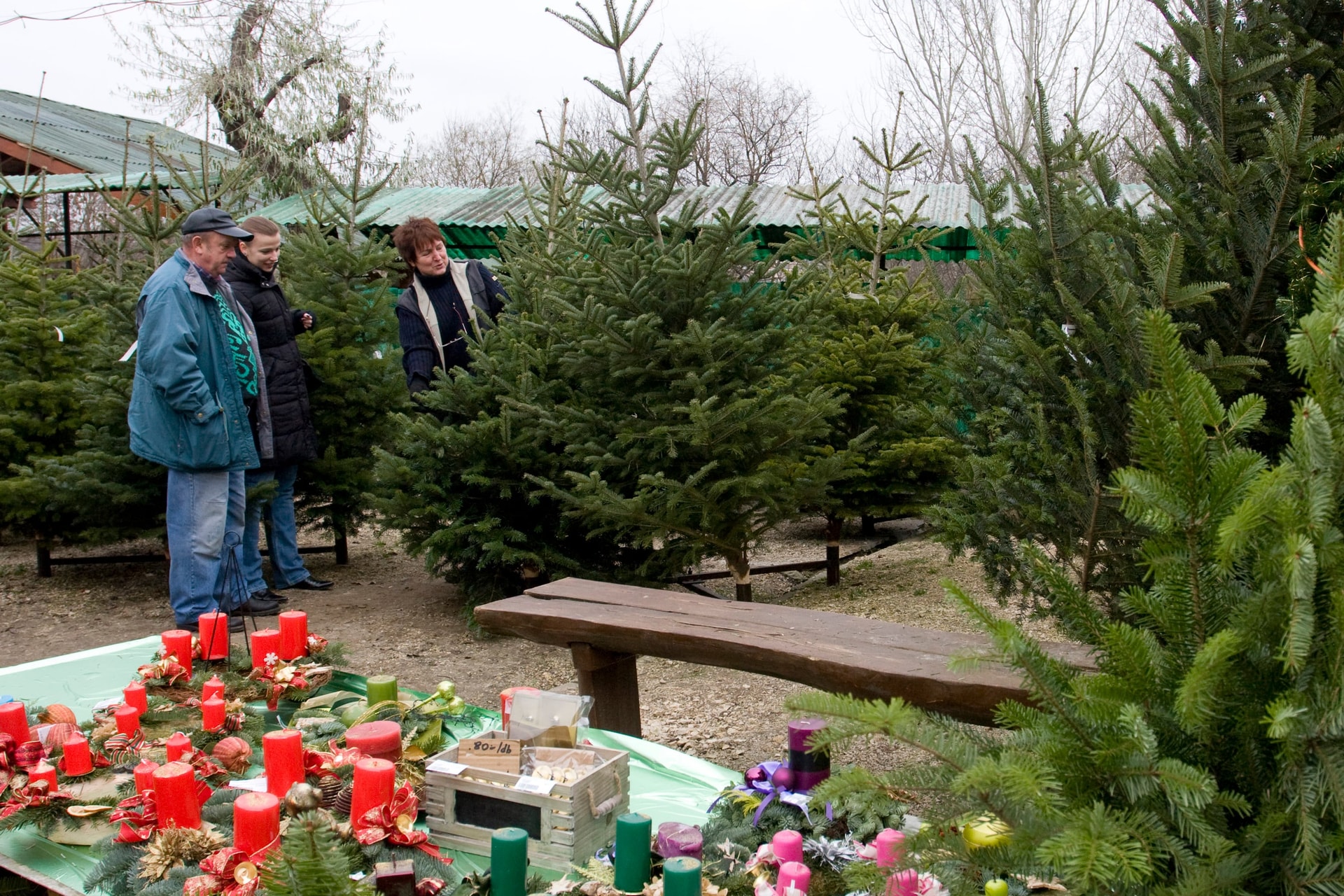A fenyőfát vásárlók háromnegyede idén is hazai termelők termékeit díszítheti fel