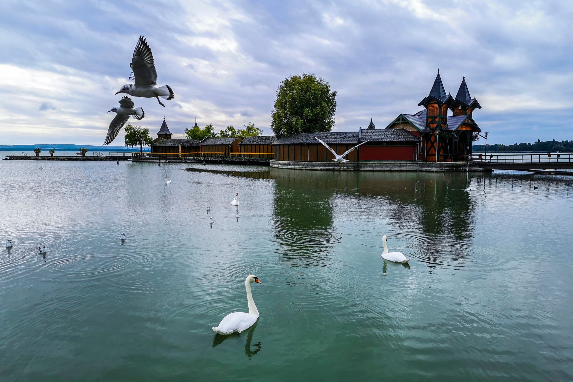 Startolnak a keszthelyi Helikoni Ünnepségek