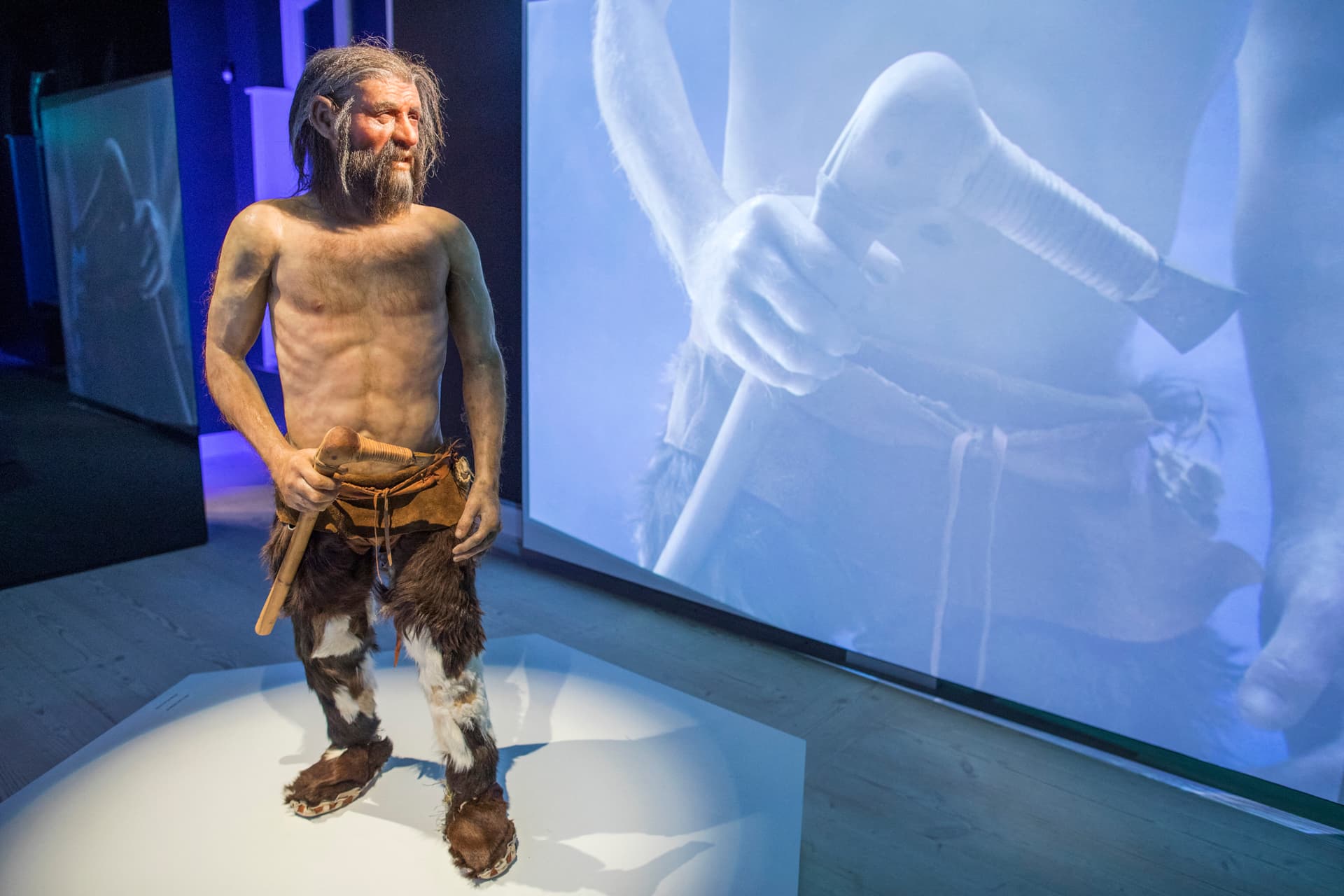 Ötzi, a jégember DNS-éből kiderül, hogy egy korábban ismeretlen genetikai vonalhoz tartozott