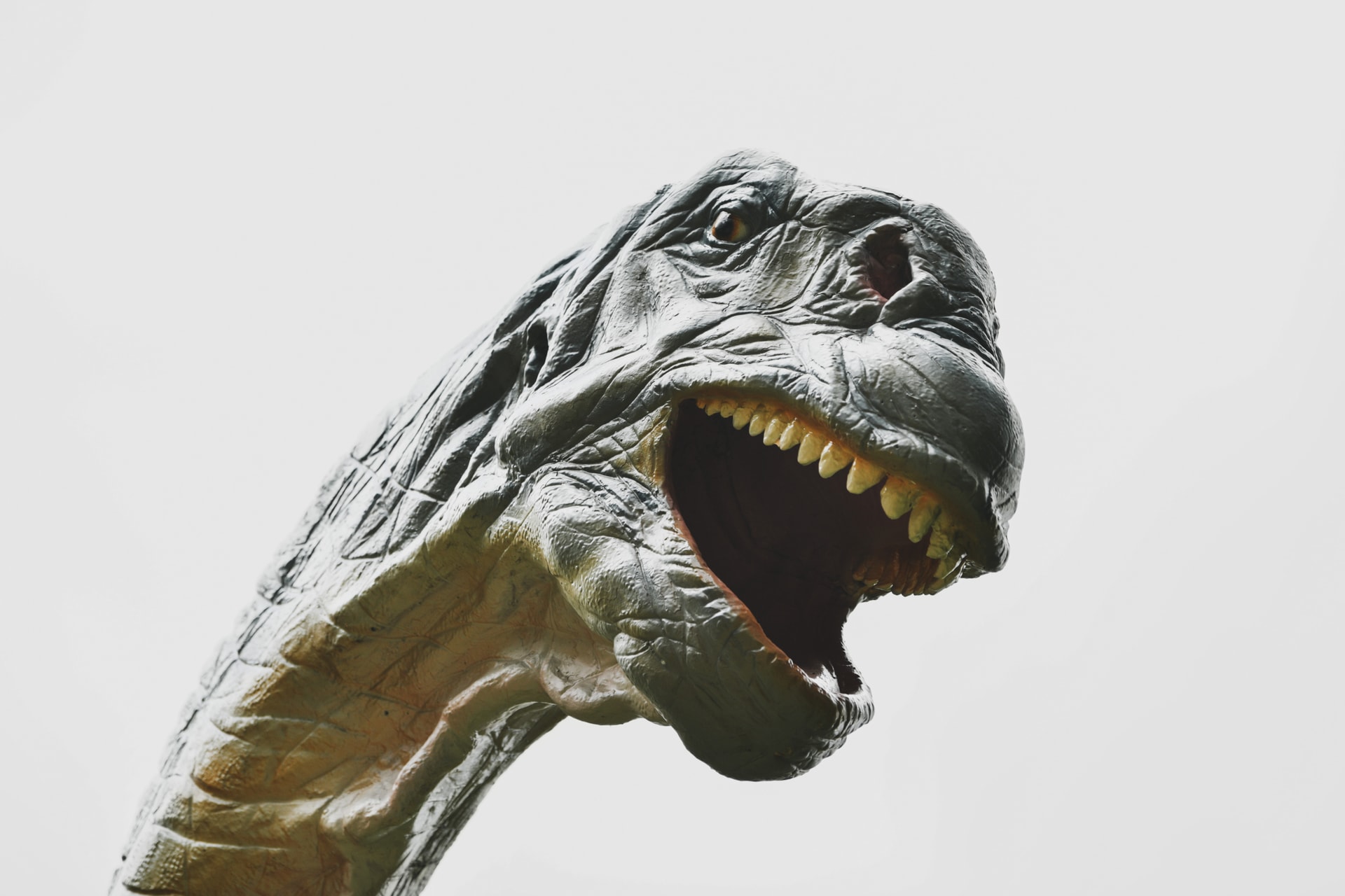 Mégsem úgy haltak ki a dinoszauruszok, ahogy eddig hittük?
