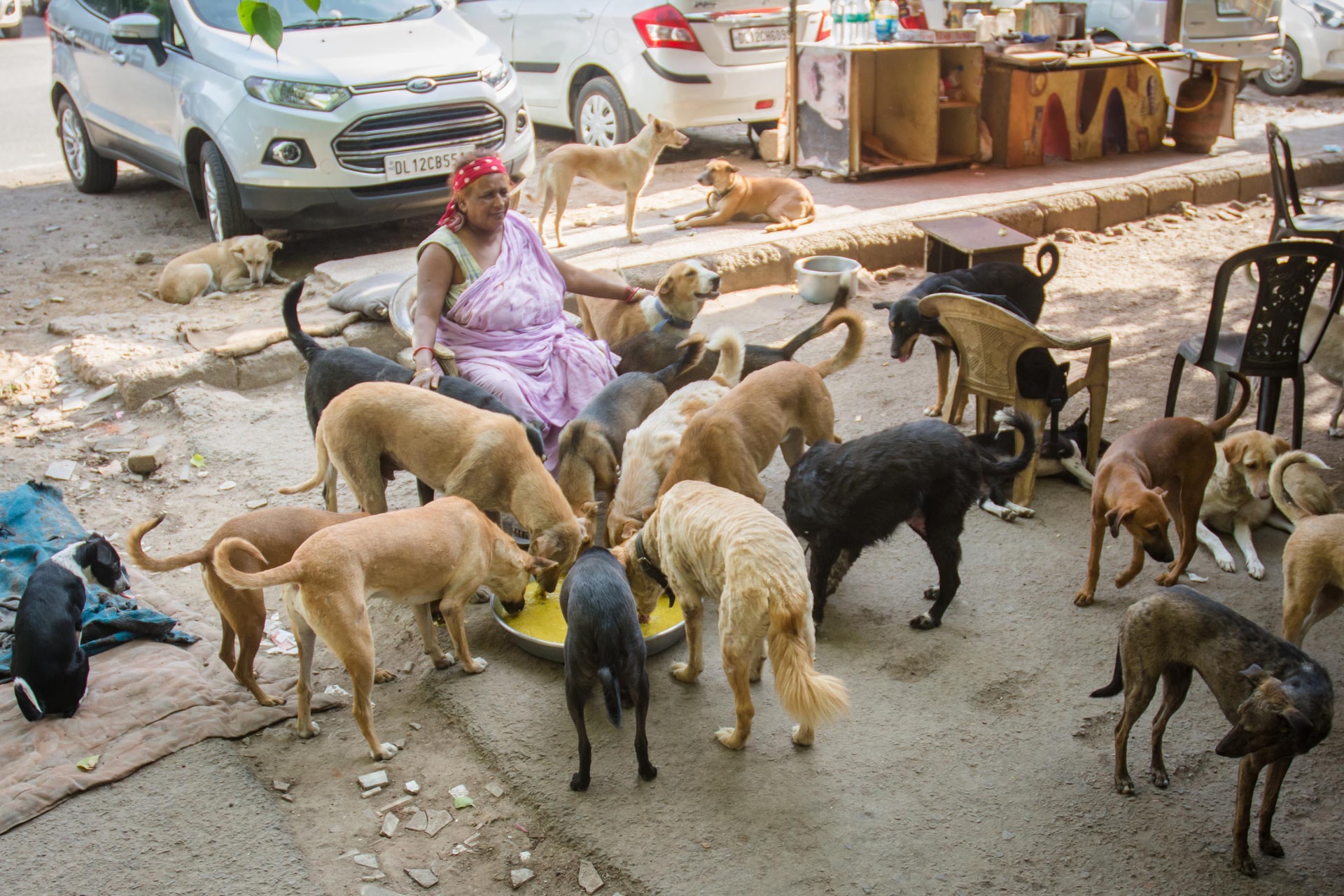 Delhi nyolc hetes határidőt kapott