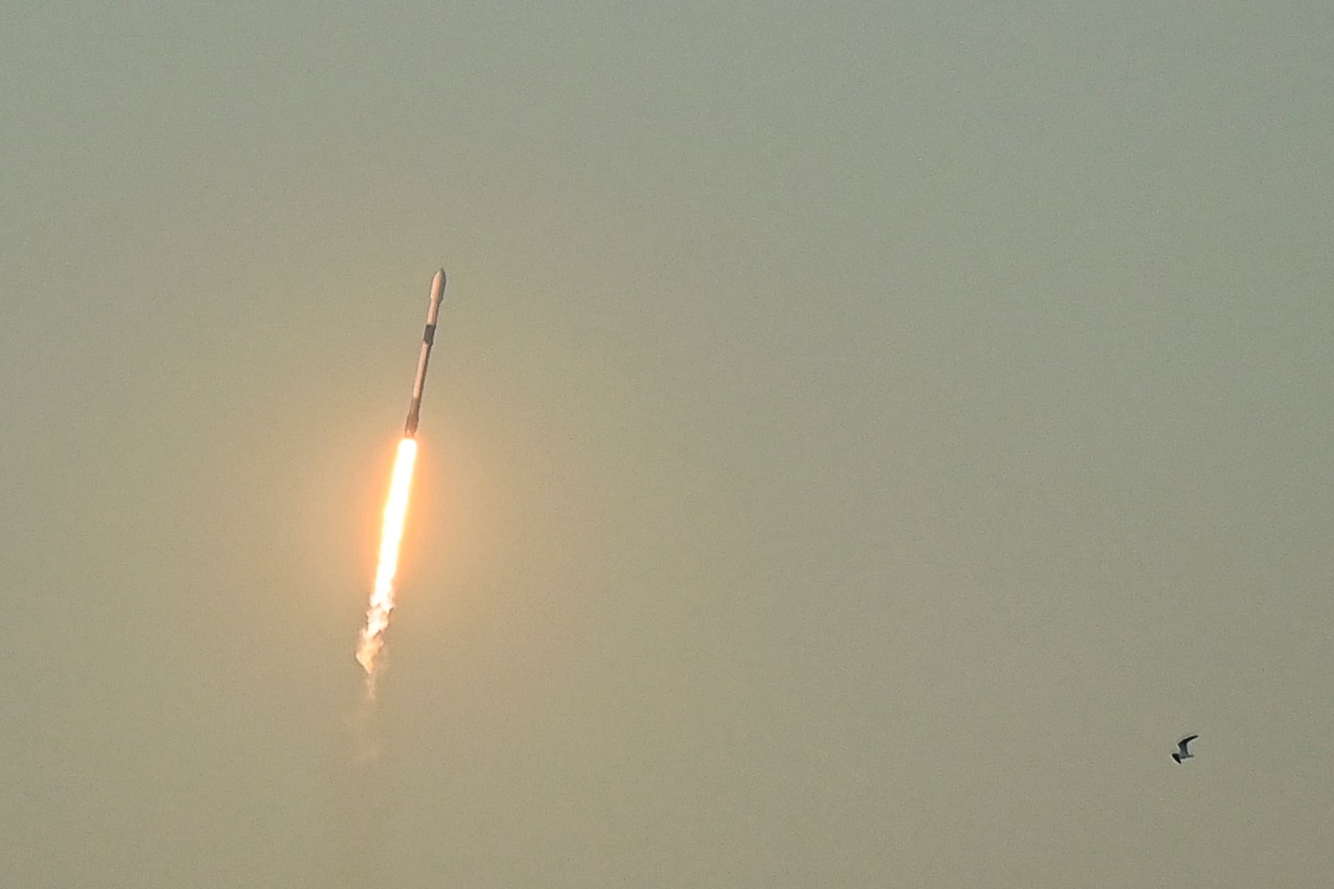 Elhalasztották a SpaceX Starship új rakétájának tesztrepülését