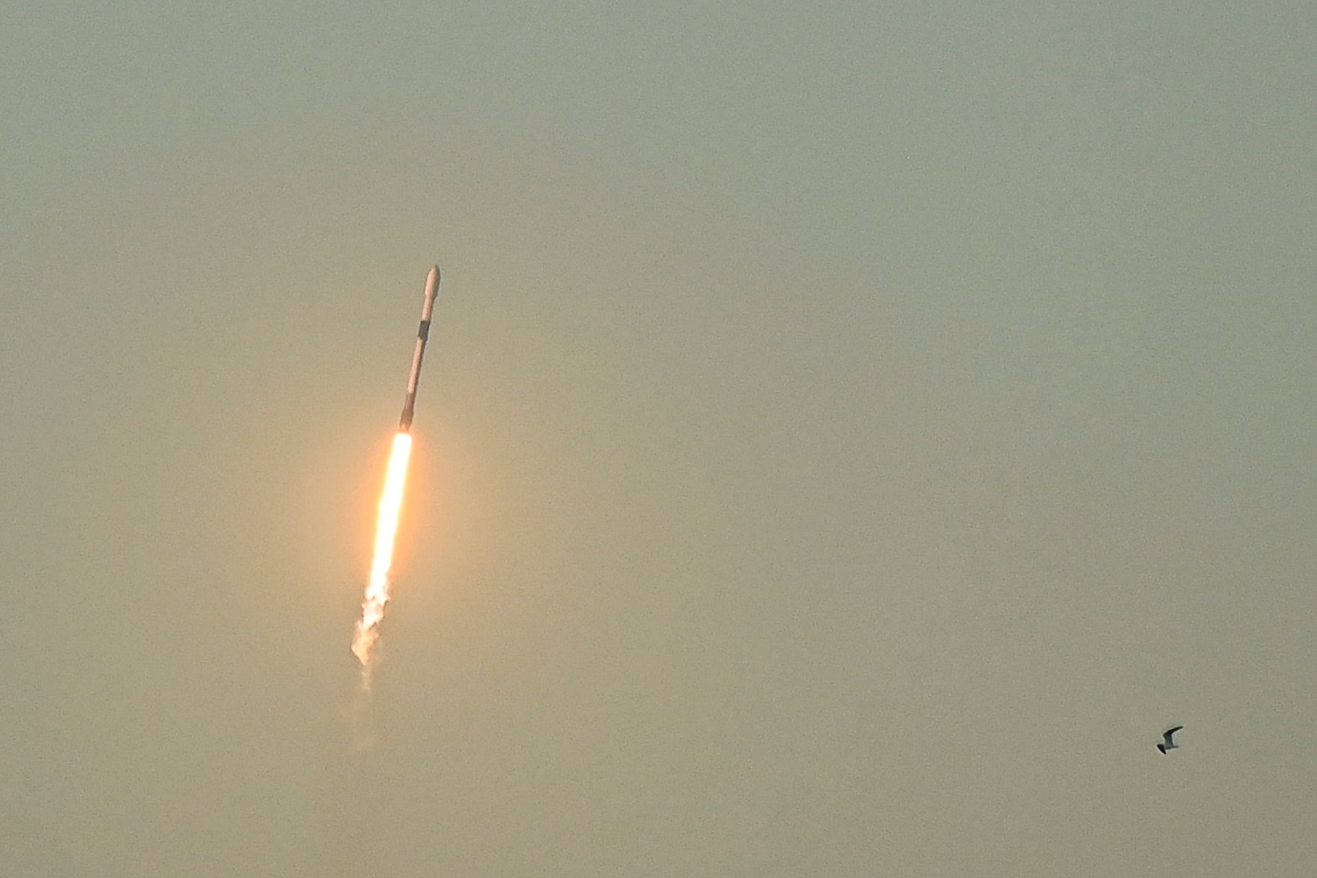 Elhalasztották a SpaceX Starship új rakétájának tesztrepülését