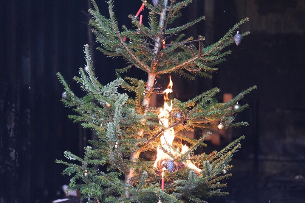 Különösen sok a tűvész advent idején