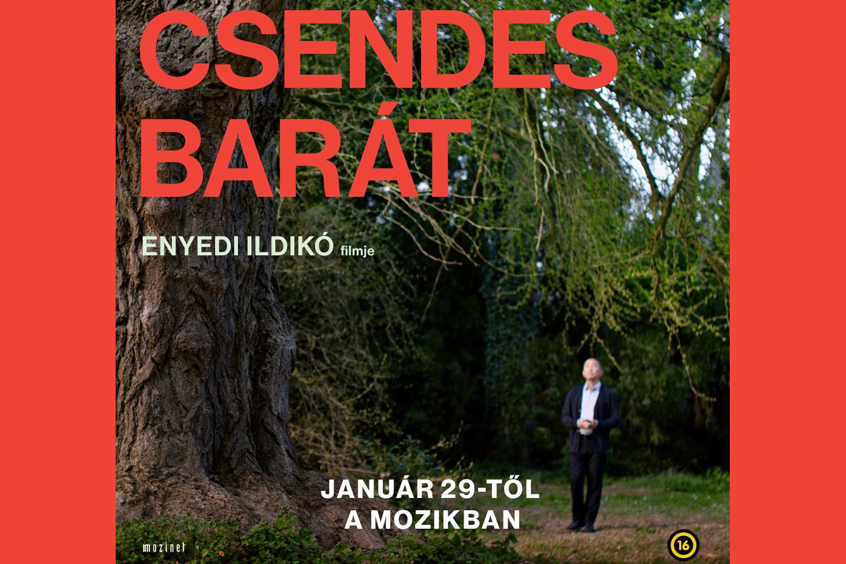 Bemutatják Enyedi Ildikó Csendes barát című filmjét