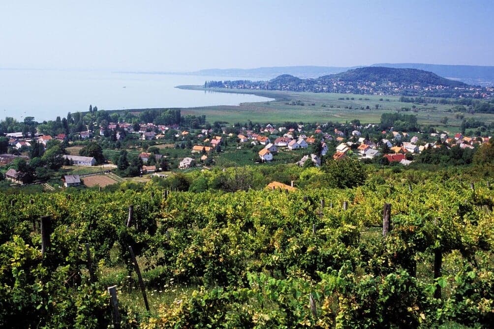 27 embert kellett kimenteni a Balatonból a hétvégén