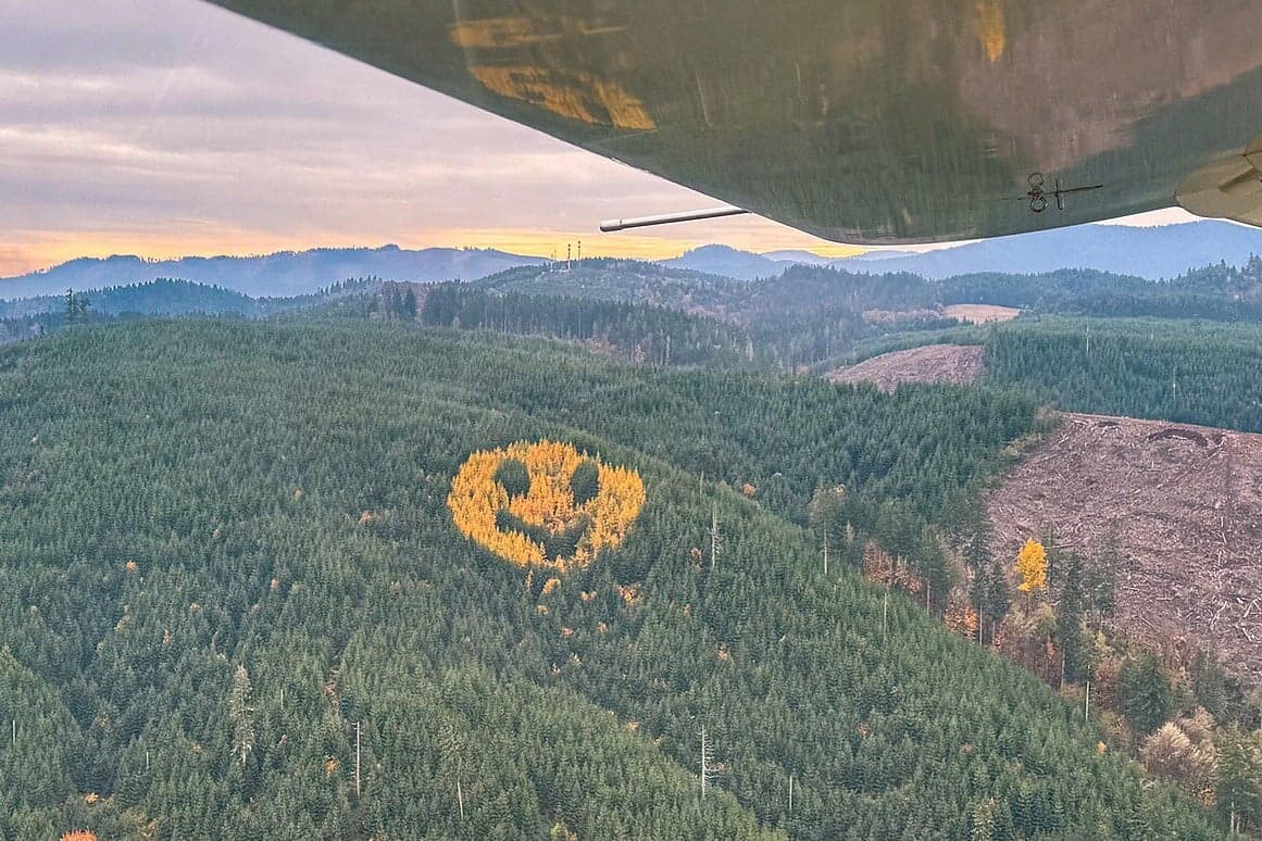 Ki áll az oregoni mosolygó erdő mögött?