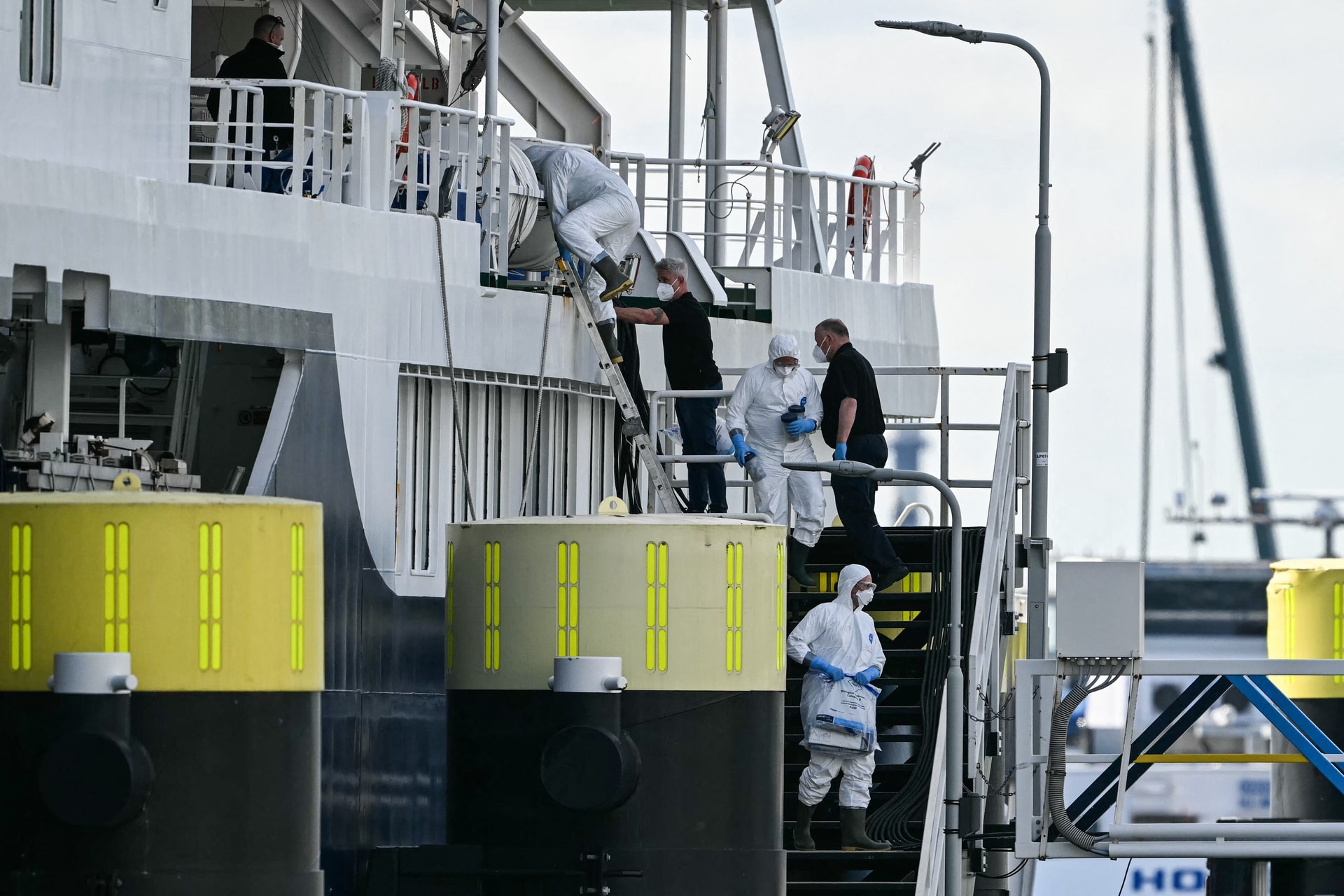 Megérkezett Rotterdamba a hantavírussal fertőzött óceánjáró