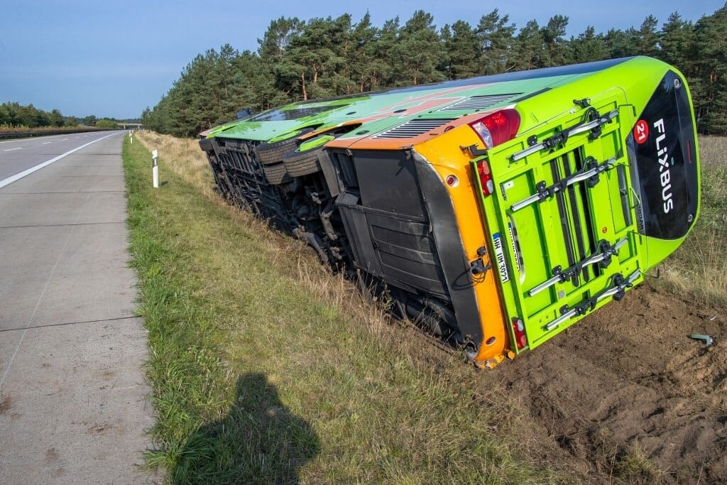A kirándulásból rémálom lett