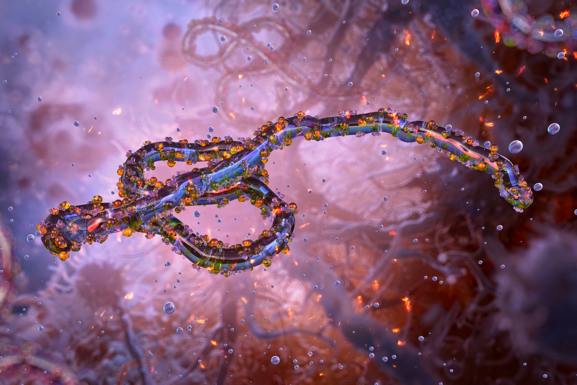 Ebola-vészhelyzet: Amit tudunk erről a halálos járványról
