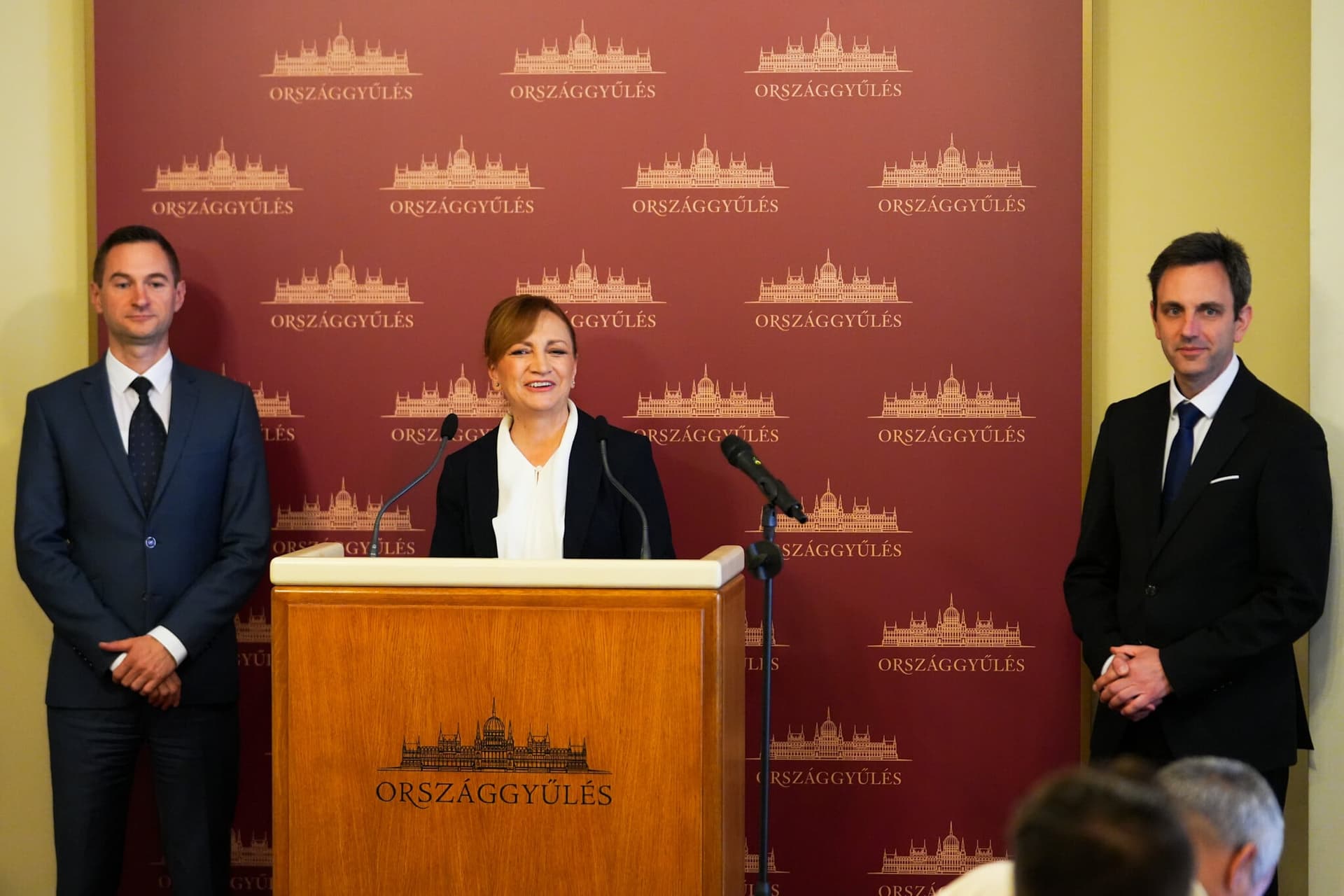 A Tisza bizottságokkal tisztázná a botrányokat