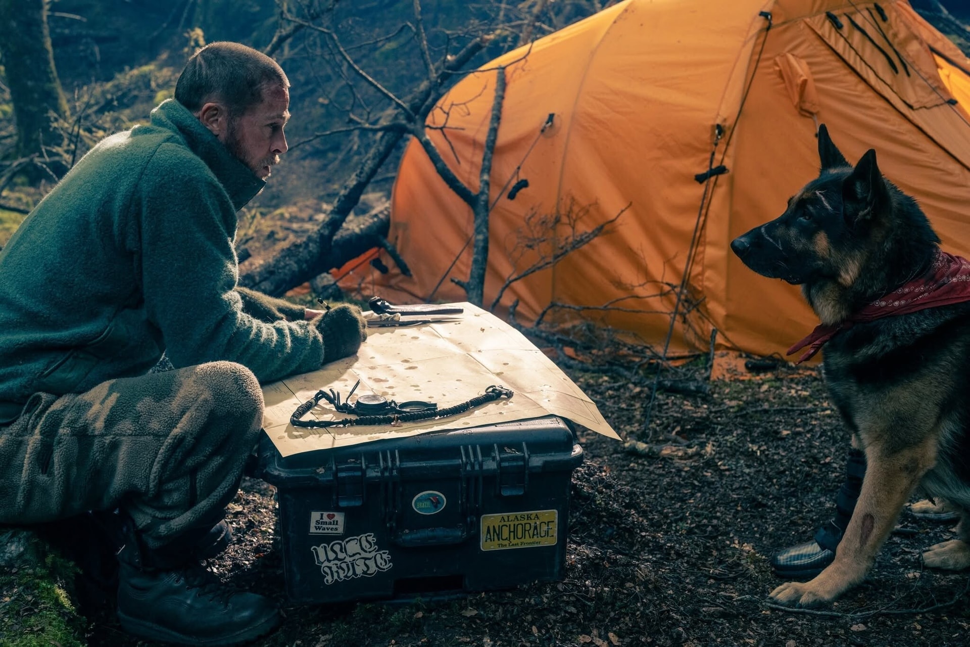 Kutyás film, és még Brad Pitt is van benne