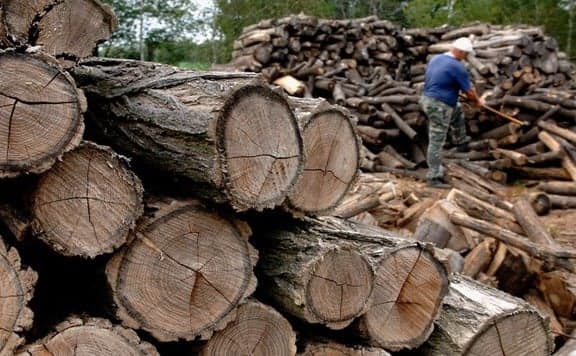 Természetkárosítás nélkül is kielégíthető a tűzifaszükséglet