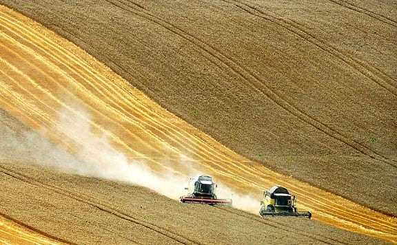 FAO: 8-22 százalékkal emelheti a globális élelmiszerárakat az orosz invázió hatása