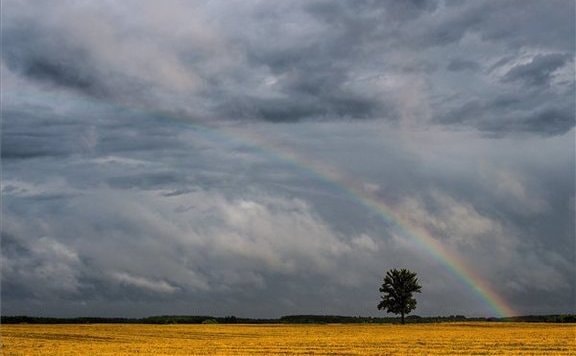 Másodfokú riasztásokat adtak ki felhőszakadás veszélye miatt
